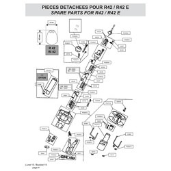 P50829